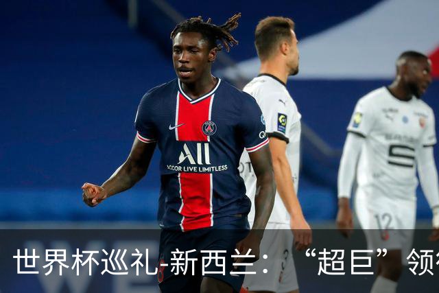 世界杯巡礼-新西兰：“超巨”领衔平民军团，小组突围不是梦！