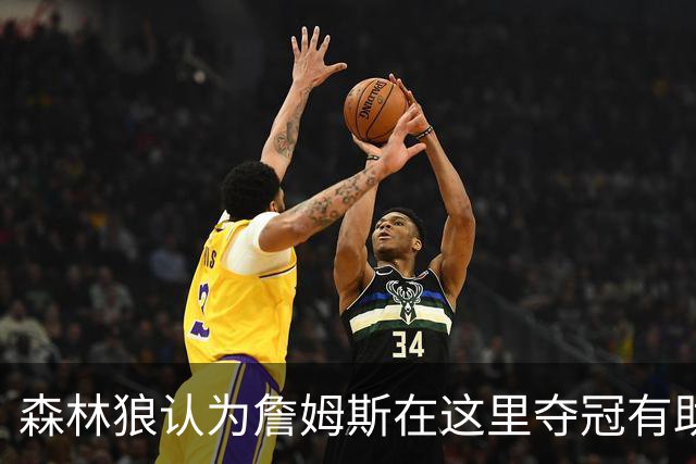 森林狼认为詹姆斯在这里夺冠有助于GOAT之争 其他下家都拿过冠军
