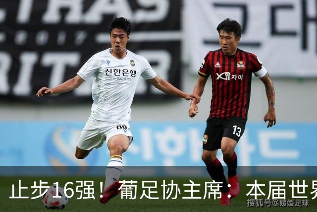 止步16强！葡足协主席：本届世界杯远未达目标 希望周末敲定新帅