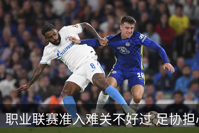 职业联赛准入难关不好过 足协担心并不是多余
